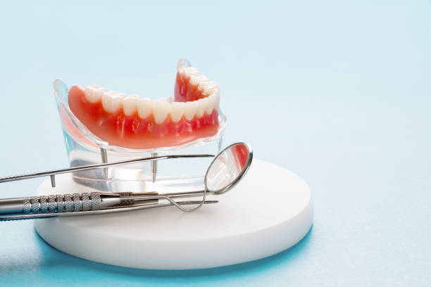 Best Preventive Dentistry  in Channel Lake, IL